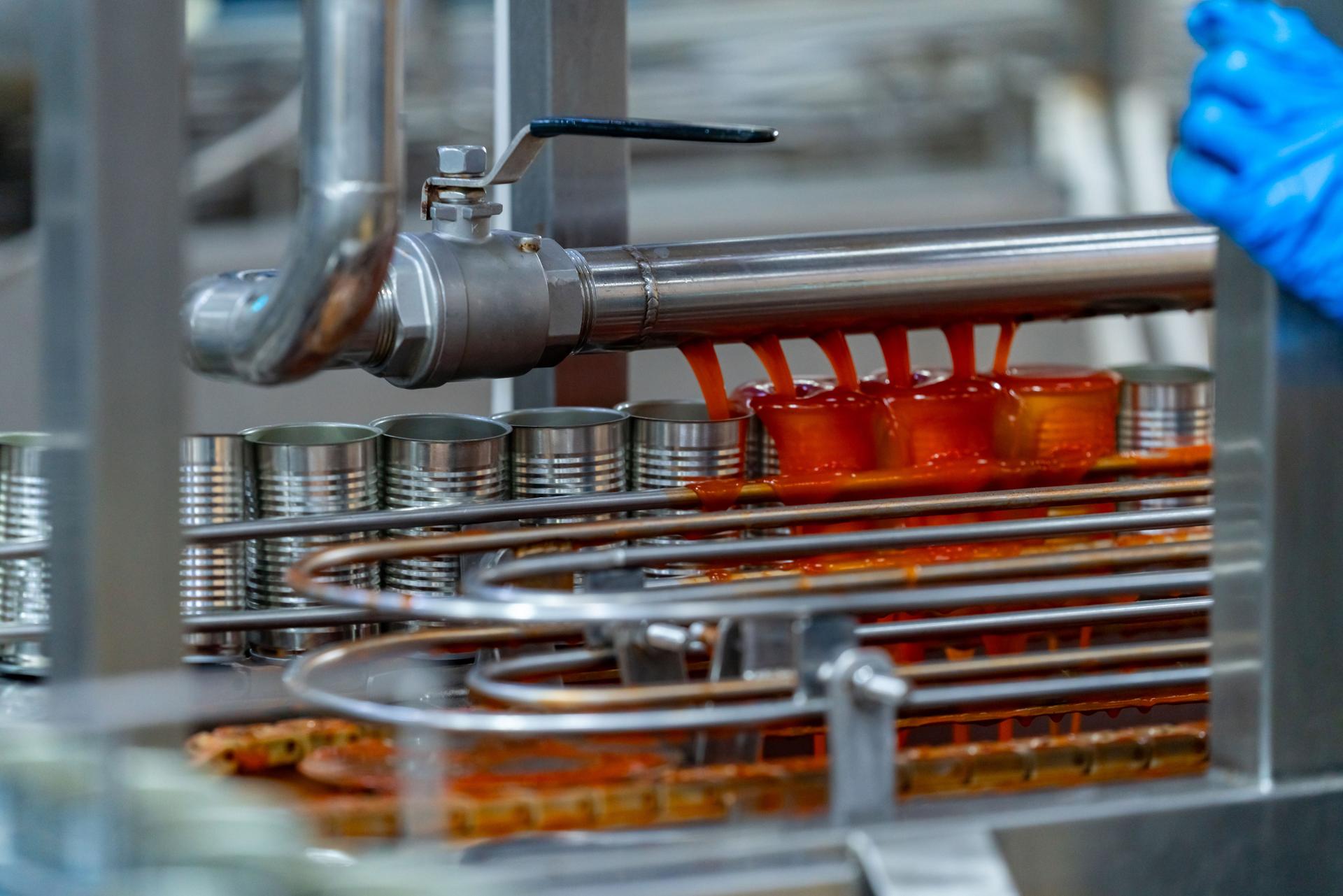 Canned food move along automated production line conveyor belt.
